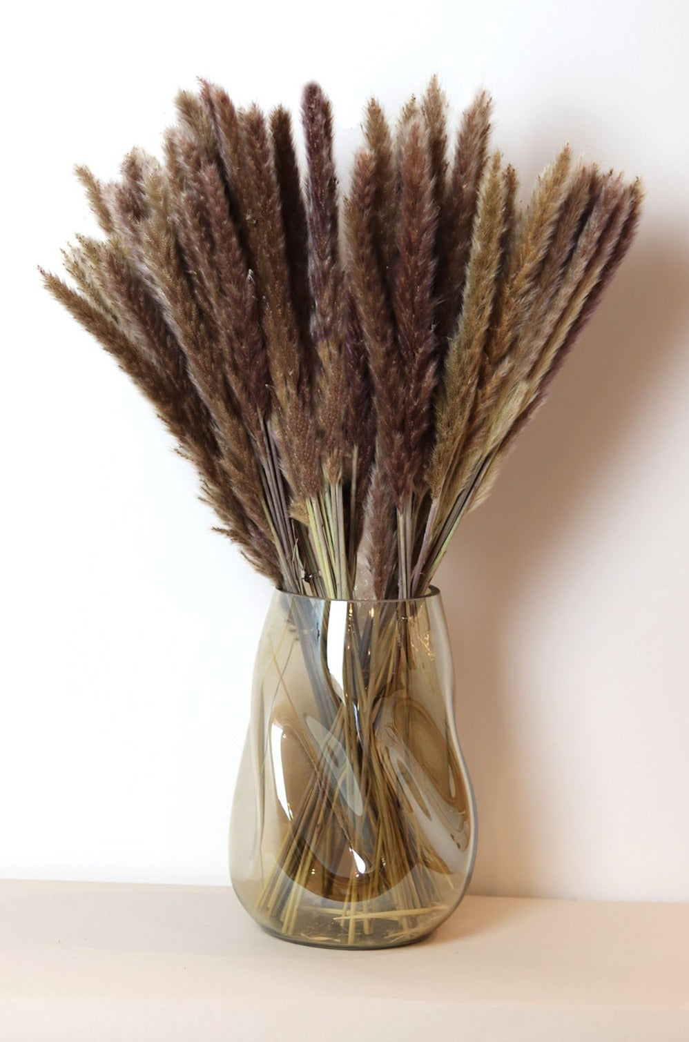 Brown Feather Pampas Grass - Sun and Day Shop