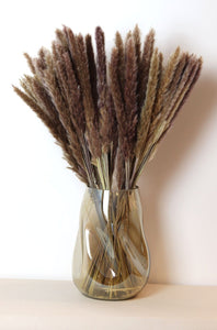 Brown Feather Pampas Grass - Sun and Day Shop
