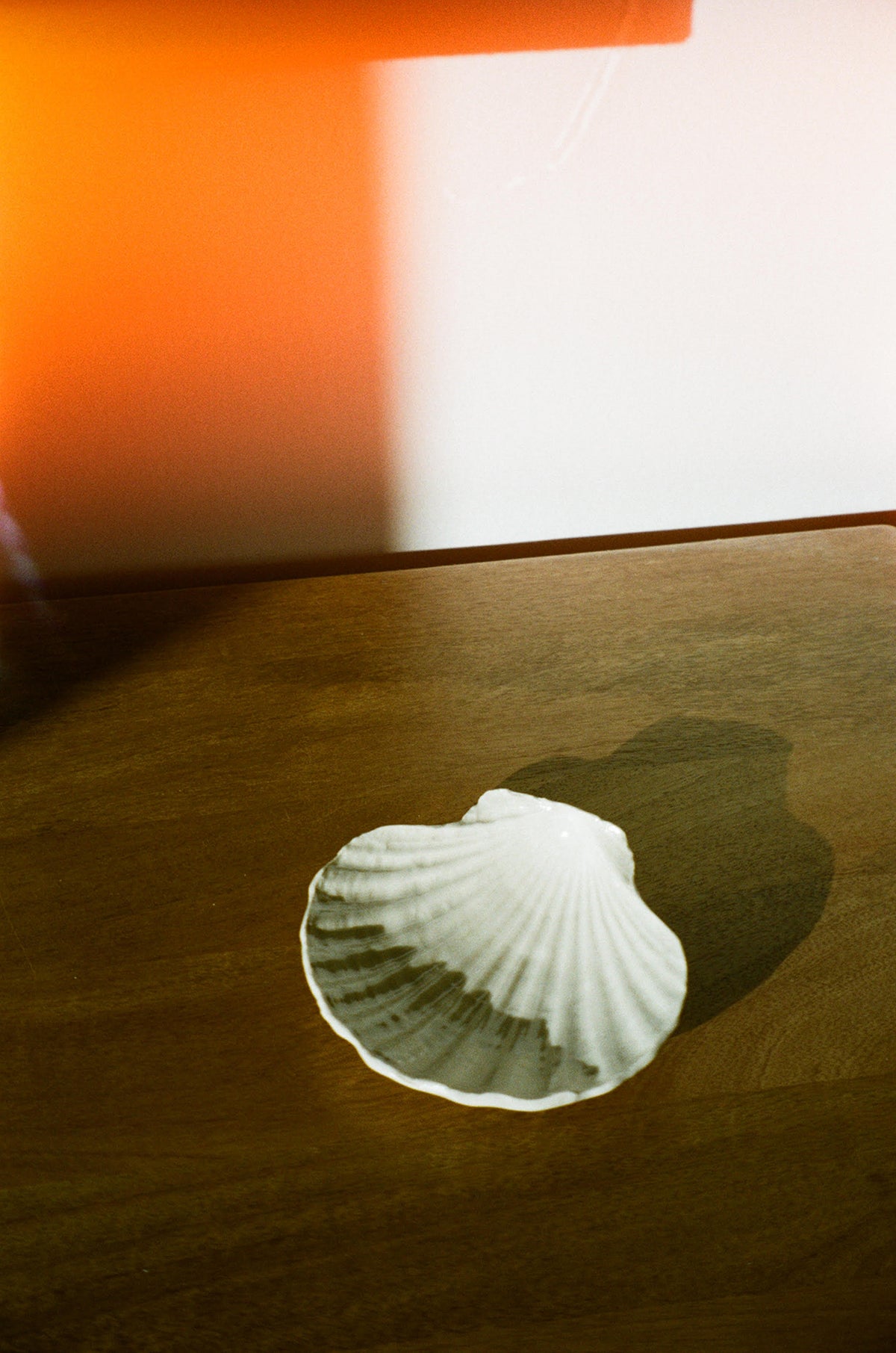 Ceramic Scallop Shell Dish