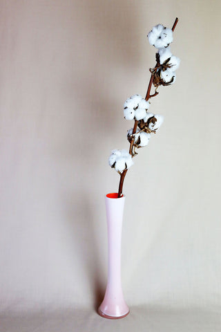 Natural Dried Cotton Ball Long Stem - Sun and Day Shop