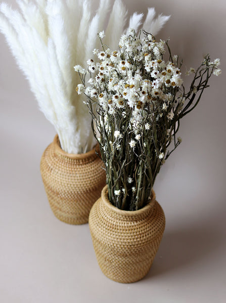 Rattan Hand Woven Vase - Sun and Day Shop