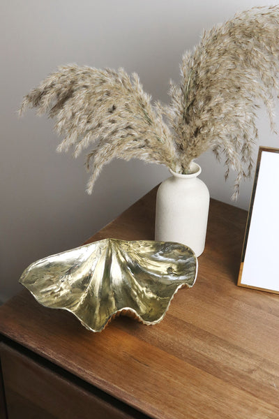 Gold Brass Large Clam Shell