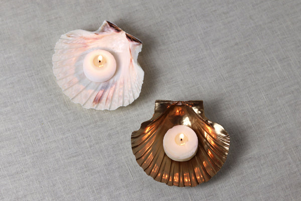Natural White Scallop Shell Dish - Sun and Day Shop