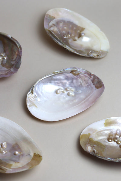 Pearl Shell Trinket Dish