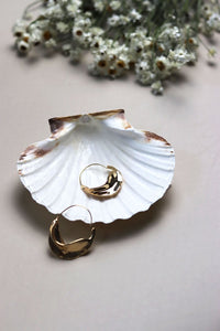 Natural White Scallop Shell Dish - Sun and Day Shop