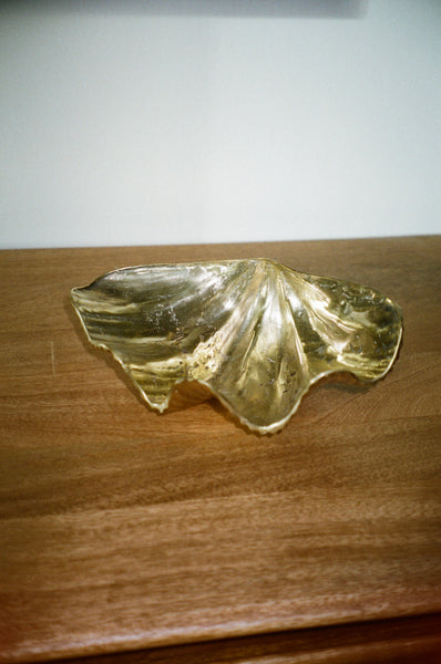 Gold Brass Large Clam Shell