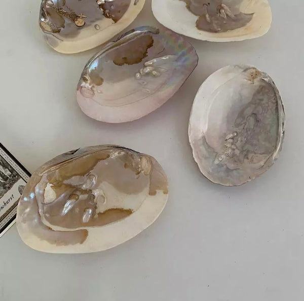 Pearl Shell Trinket Dish